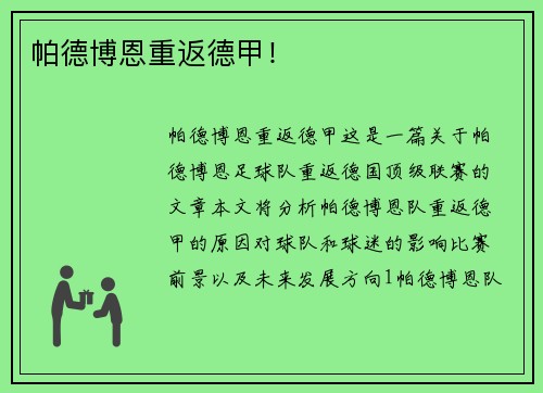 帕德博恩重返德甲！